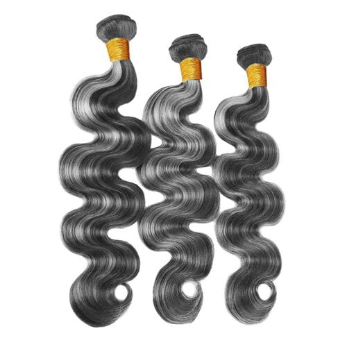 Fridnae Hair Highlight Bundle P1BGray Body Wave Human Hair Bundles 8A Grade Two Tone Black Mixed With Silver 3 Bundles 28 30 32 Inch Gray Body Wave Bundle