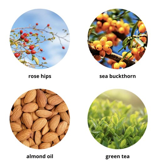 Elina Organics Vitamin C Elixir, 2oz, Hydrates Skin, Reduces Wrinkles, Rebuilds Collagen, Organic Skincare, Unisex