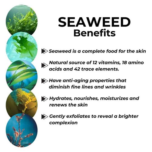 Repechage - Biolight Brightening Serum - 30ml - NEW SIZE!