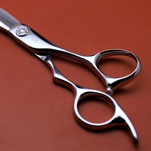 AOLANDUO Professional Hair Cutting Scissors - VG10 Steel Barber Shears, Ergonomic Handle - 1 Count, 6 in