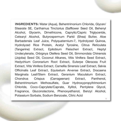 Zenagen Eclipse Color Preservation + Gray Support Conditioner | Enhances Hair Color Vibrancy, Reduces Gray Appearance, Nourishes & Strengthens Aging Hair, Plant-Based, Color-Safe, 16 oz