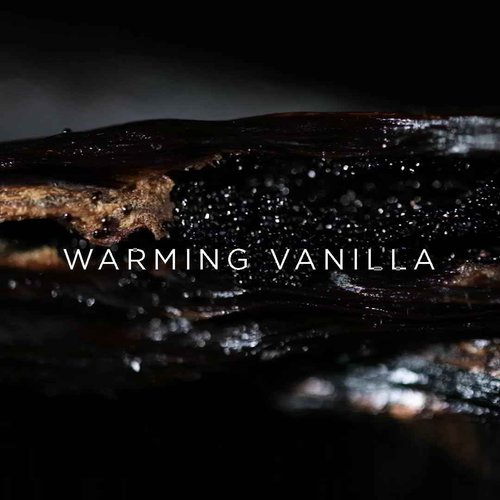 Michel Germain Sexual Noir Eau de Parfum Fragrance Spray, Notes of Strawberries, Pink Orchid, Warming Vanilla, Long-Lasting, Warm Floral & Sensual Gift for Her, 1.4 Fl Oz