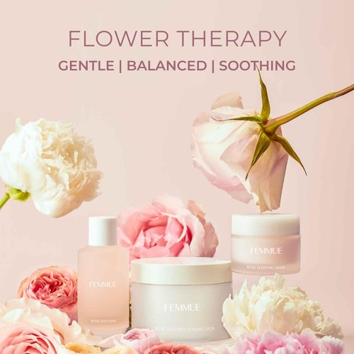 FEMMUE Ideal Creme Riche Face Moisturizer Cream (1.58 oz) | With Camellia Seed Oil to Nourish Dry, Damaged Skin | Korean Skincare