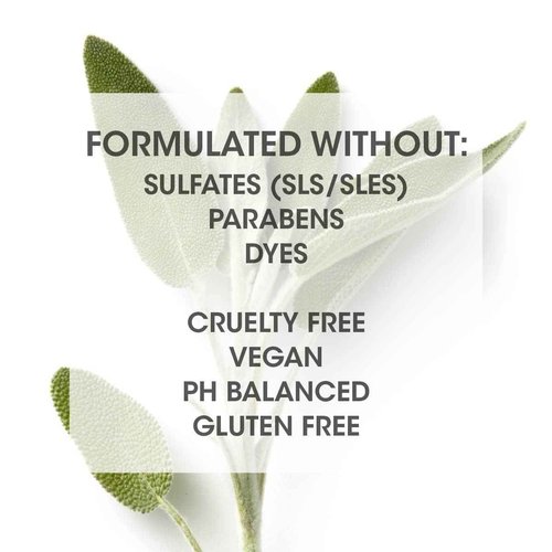 SEVEN Hair Care GAZAR BALANCE Cowash for Women & Men with Shea Butter & Coconut Oil, 1 Step Shampoo Alternative for Curly or Textured Hair, Sulfate + Paraben Free, Cruelty Free, Made in USA, 32 oz