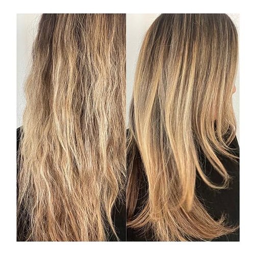 SH-RD Nutra-Therapy Shampoo for Dry Damaged Hair | Protein Shampoo Reduces Split Ends | Moisturizes Frizzy Hair | Suitable for Color-Treated, Bleached Hair - 33.8oz/1000ml