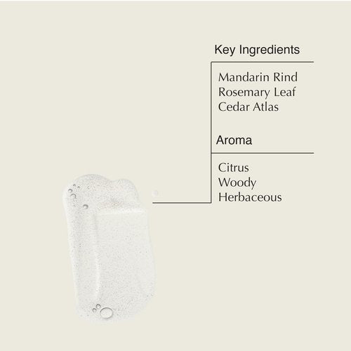 Aesop Resurrection Rinse-Free Hand Wash | Aromatic, Alcohol-Based Gel with Purifying and Hydrating Properties | Cleanses without Water | 1.7 oz + 16.9 oz