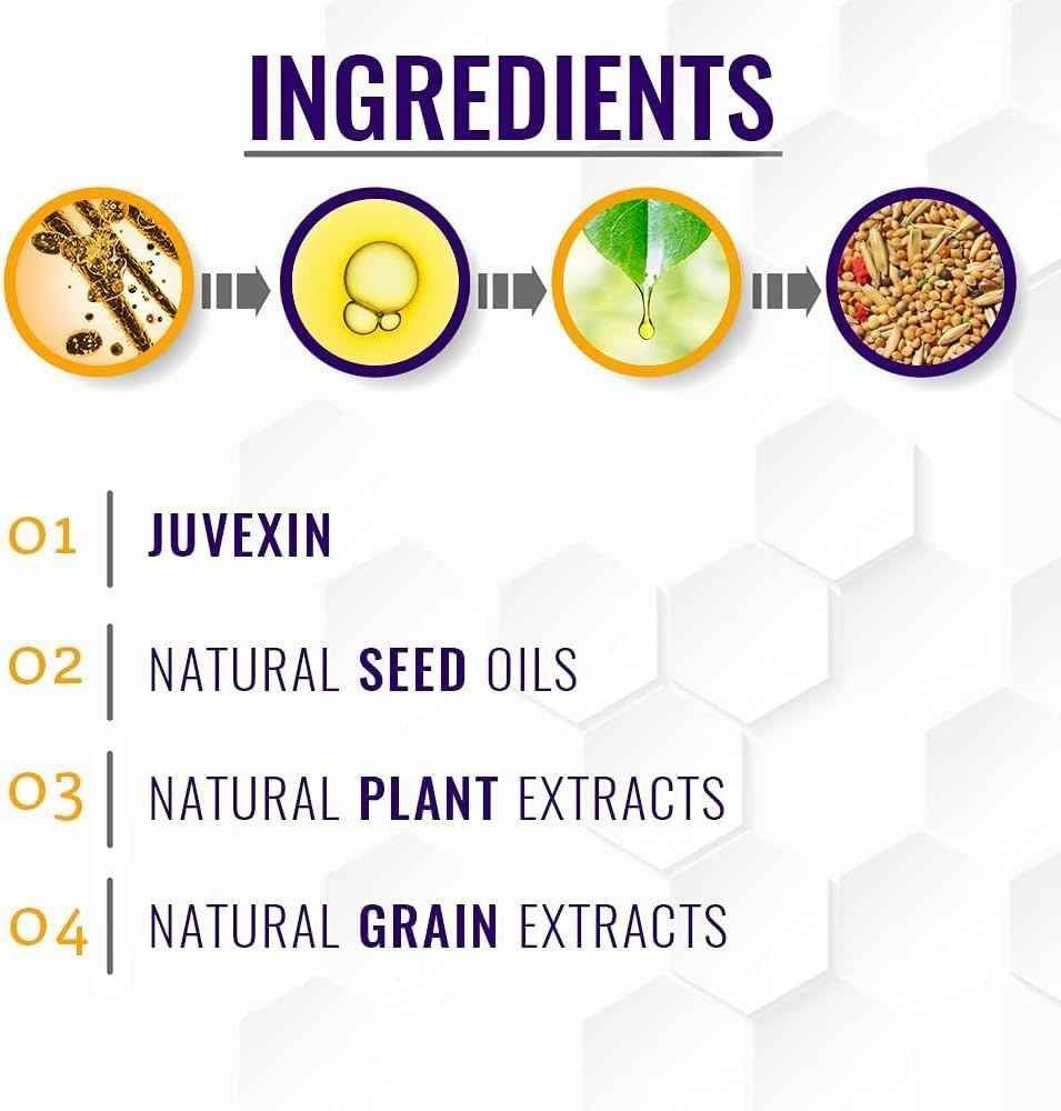 GK HAIR Global Keratin Silver Bombshell Purple Shampoo (24 Fl Oz/710ml) For Blonde, Platinum, Ash, Silver & Gray Hair Moisturizes Dry & Damaged Removes Yellow Brassy Tones