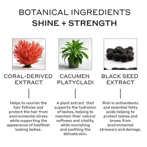 ZENAGEN Pro Lash Serum | Promotes Longer, Thicker Lashes, Strengthens & Nourishes Hair Follicles, Lightweight Non-Irritating Formula, Vegan, Plant-Based, 4ml