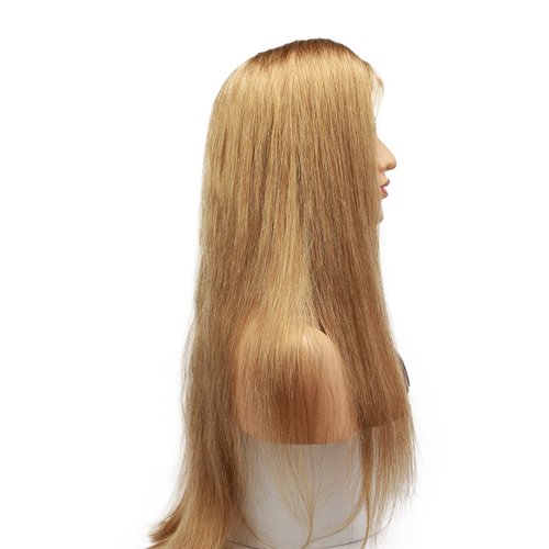 Dreambeauty #18 Pure Blonde Color Lace Front Human Hair Wig for Women Brazilian Remy Glueless Full Lace Human Hair Wig with Baby Hair Pre-Plucked Natural Hairline (20 inch, Lace Front)