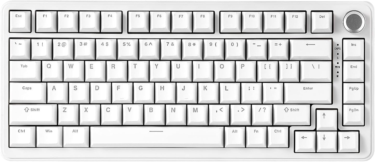 YUNZII B75 Mechanical Keyboard,75% Layout with Knob,Hot Swappable RGB Backlit Gasket Mounted, Creamy Typing, Double-Shot PBT Keycaps,Cherry Profile,for Win/Mac (White, Milk V2 Linear Switch)
