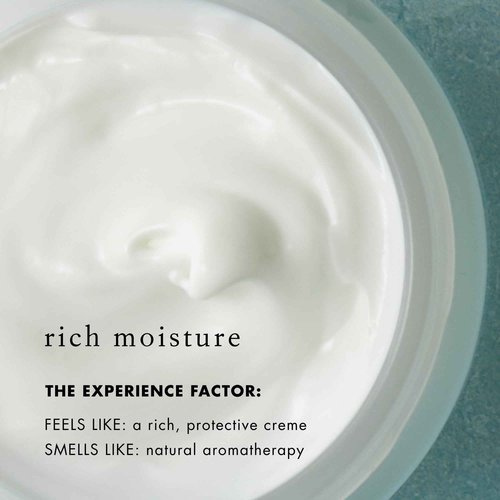 Bioelements SPF 50 FaceScreen - 2.3 oz - Antioxidant, Broad-Spectrum SPF 50 Sunscreen Moisturizer - Vegan, Gluten Free - Never Tested on Animals