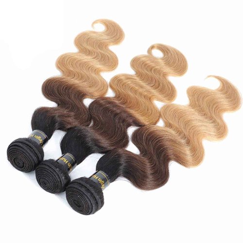 Shining Girl 12A Ombre Body Wave Bundles With Closure Brazilian Virgin Remy 100% Human Hair Ombre 3 Tone T1B/4/27 Color Human Hair Extensions 3 Bundles with 4x4 Lace Closure (14 16 18+12, 1B#/4#/27#)