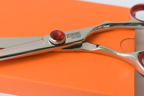 Professional Hair Scissors/Shears 5.5" For Hair Cutting Convex Edge Blade Japanese Process Shears 440C Stainless Steel