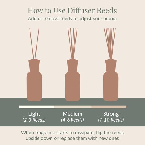 Archipelago Botanicals Black Forest Reed Diffuser, Home Fragrance Reed Diffuser, Includes Fragrance Oil, Decorative Wooden Cap & 10 Diffuser Reeds, Perfect for Home, Office or Gift, 7.85 fl oz