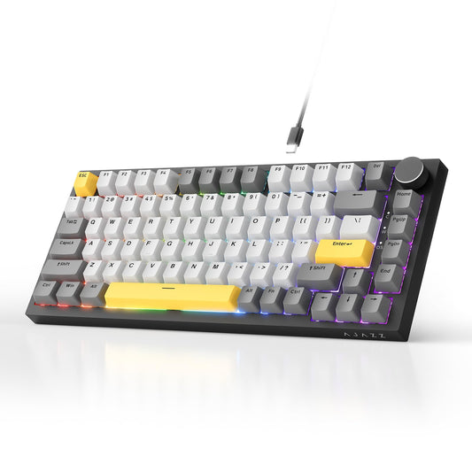 AJAZZ AK820 75% Wired RGB Gasket Mechanical Keyboard with Volume Knob, South Facing LED, Poron Foam, PBT Keycaps, Custom Programmable Hot-Swap Keyboard