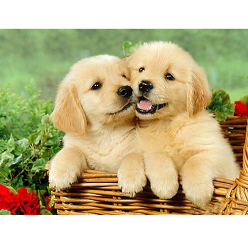 Diamond Painting Kit for Home Decor - Puppy Full Diamond Art, 30x40cm to 60x80cm