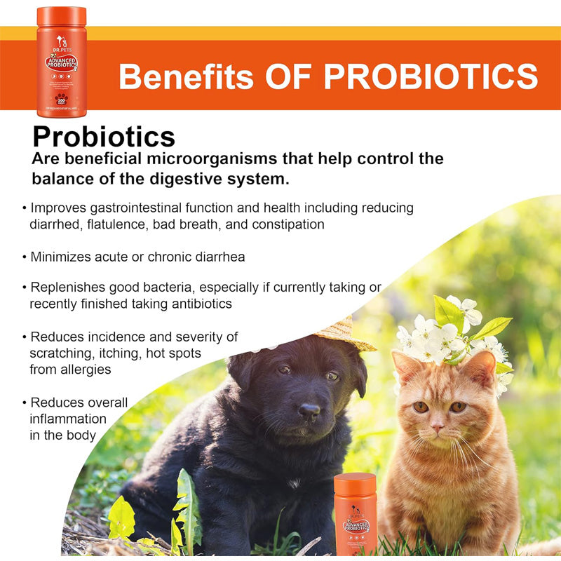 Dog and Cat Joint Supplement with Glucosamine, Chondroitin & MSM - Orange
