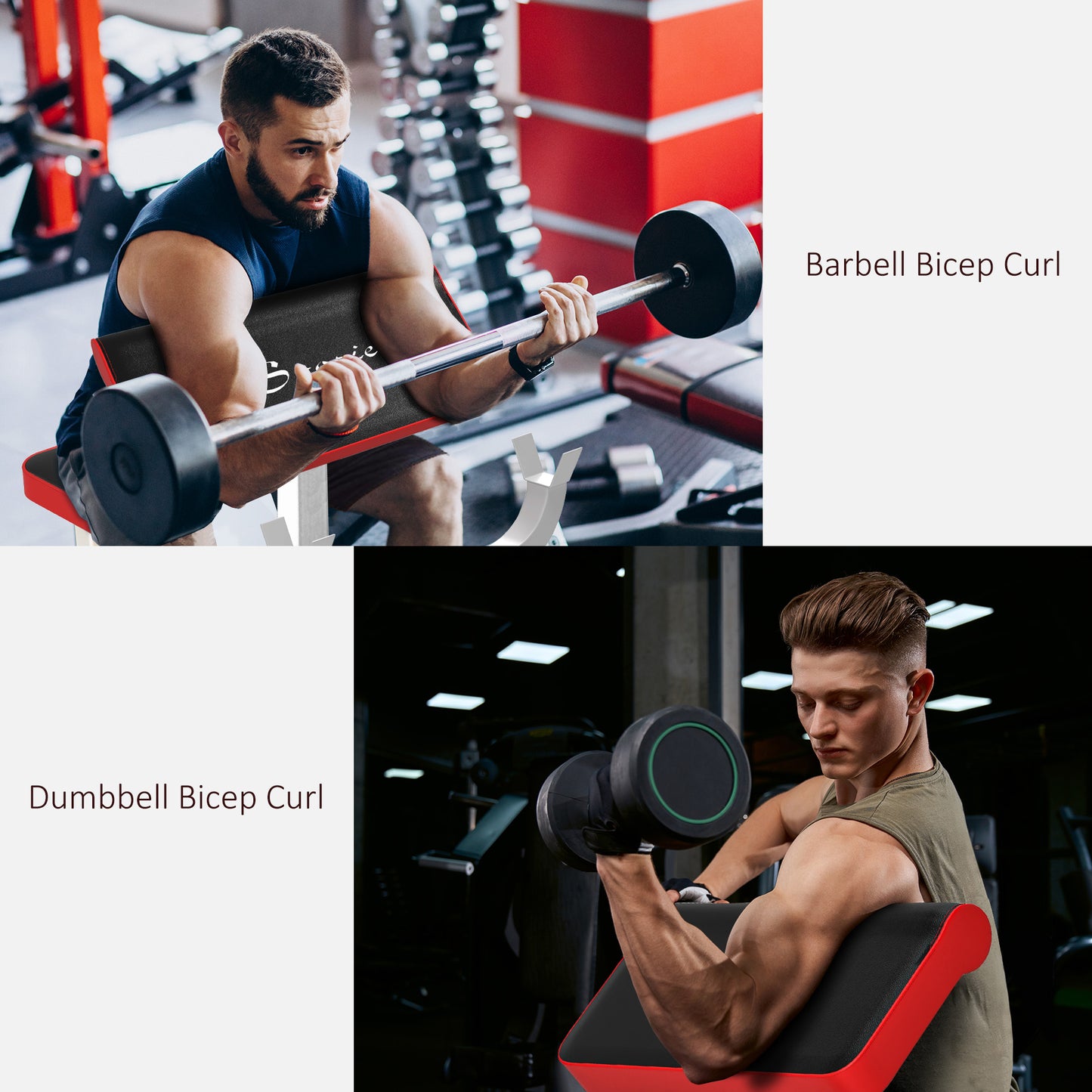 Adjustable Preacher Curl Bench for Strength Training - White