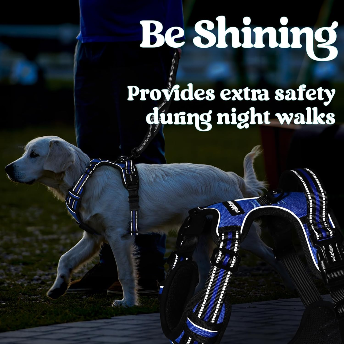 Large No Pull Dog Harness with Reflective Strips, Adjustable Soft Walking Vest, 3 Buckles, Handle & 2 Clips, Blue, L