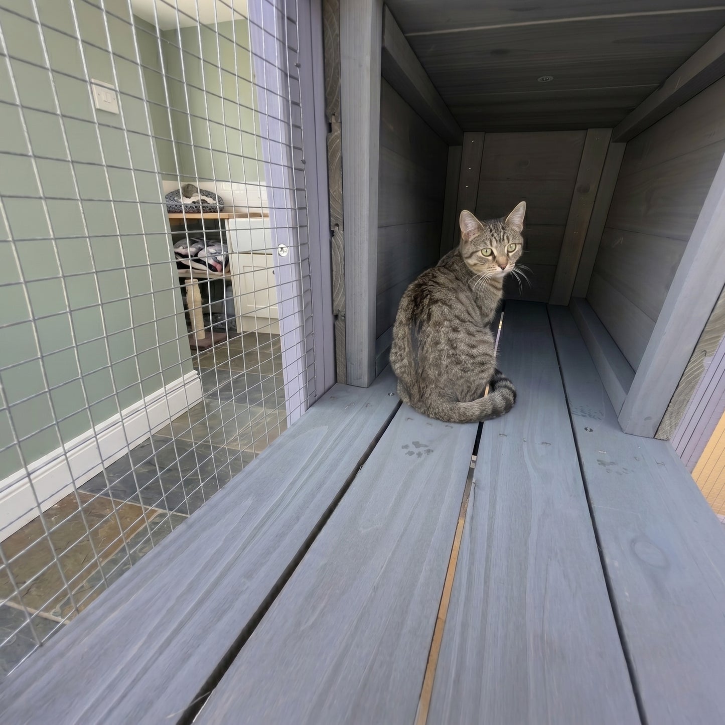 62.6-Inch Wooden Cat Enclosure with Water-Resistant Cover and Multiple Platforms