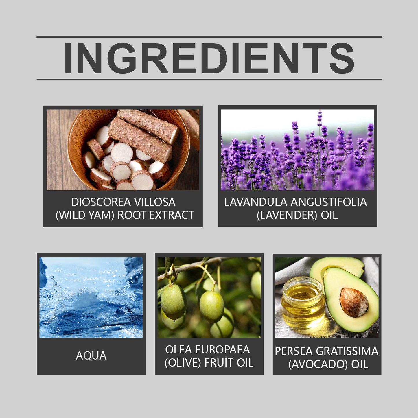 Wild Yam Root Nourishing Cream - Moisturizing & Balancing Body Care