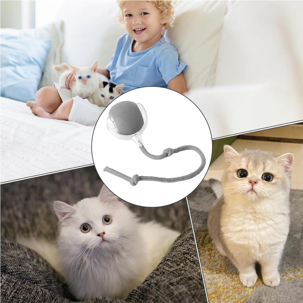Interactive Rolling Cat Toy Ball - Self-Rotating Silicone Pet Playball