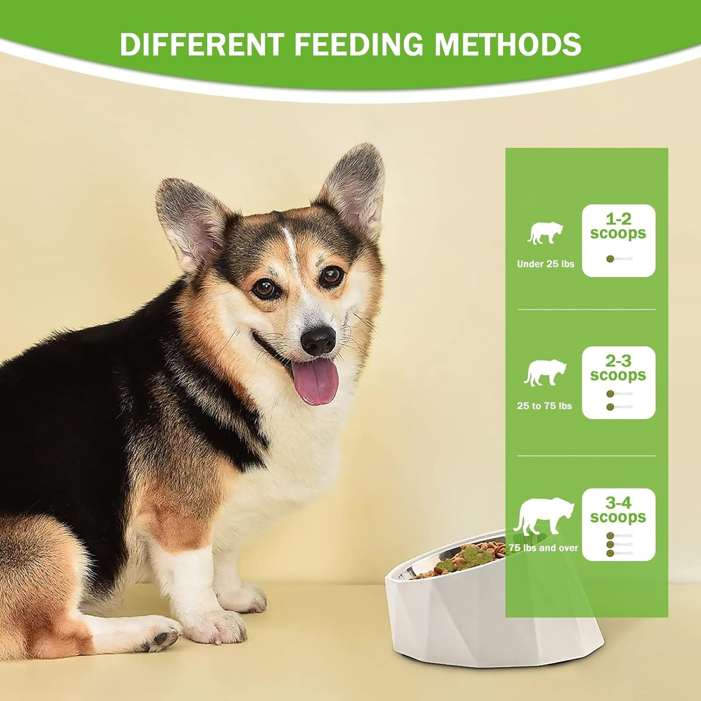 Pet Dental Powder for Fresh Breath & Gum Health - 1PC