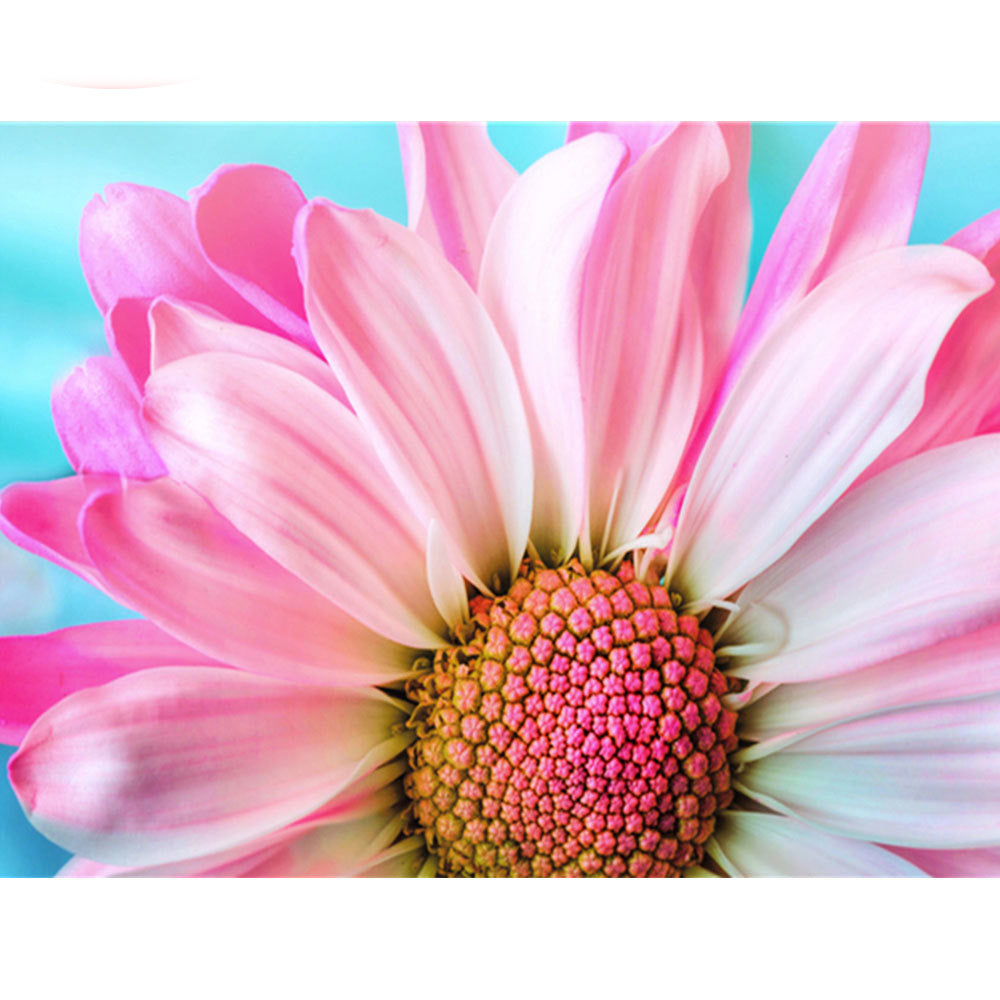 Floral Diamond Painting Cross Stitch Kit with Multiple Sizes and Shapes