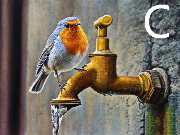 DIY Diamond Painting Bird Cross Stitch Kit Home Decor Art Craft