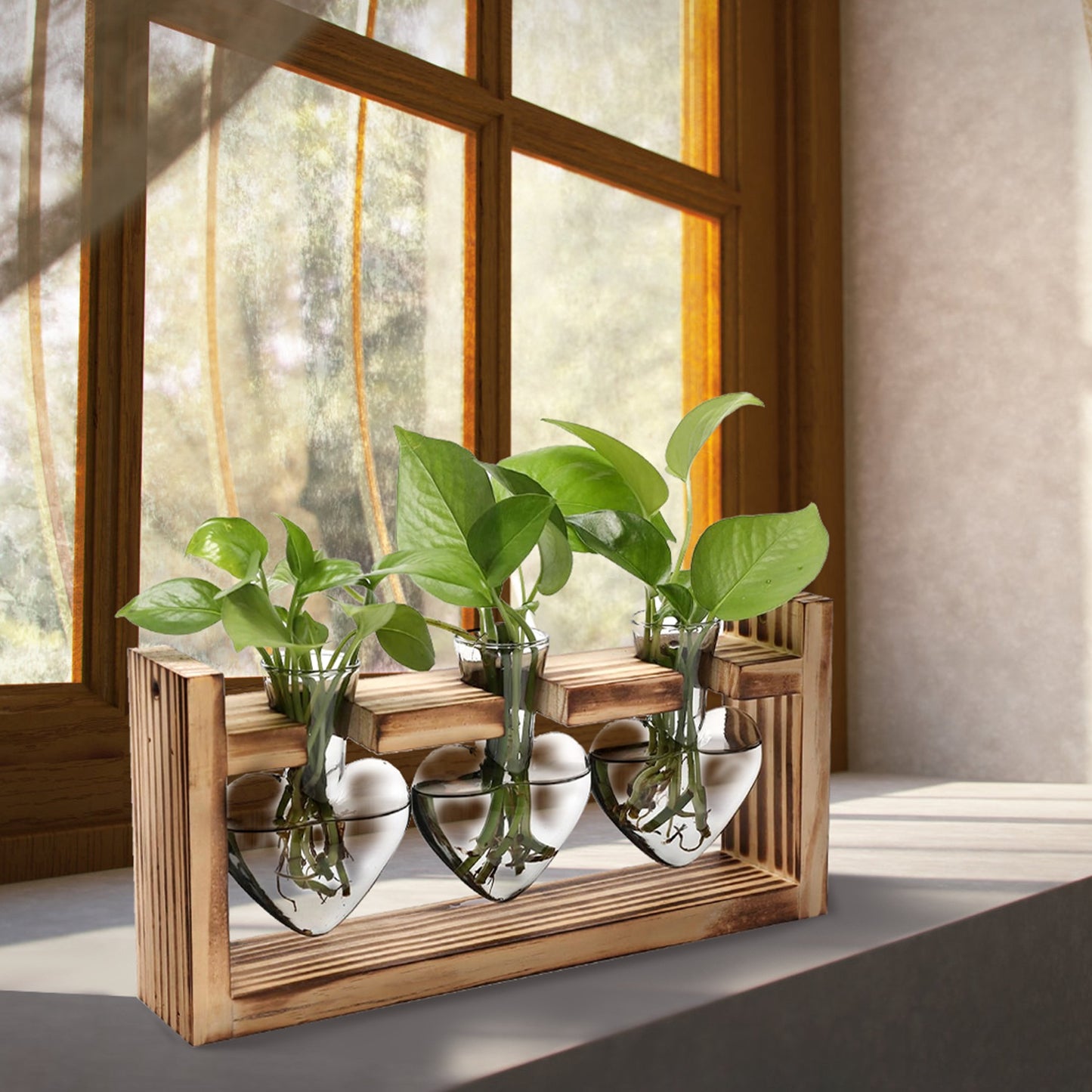Heart-Shaped Plant Propagation Station with Wooden Stand