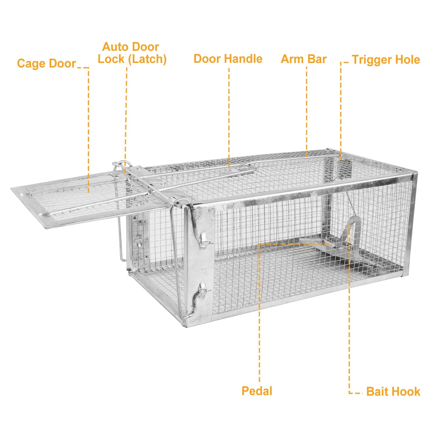 Humane Live Animal Trap - Galvanized Steel Rodent Catcher with Sensitive Gravity Pedal, Reusable & Escape-Proof for Home Yard Garage