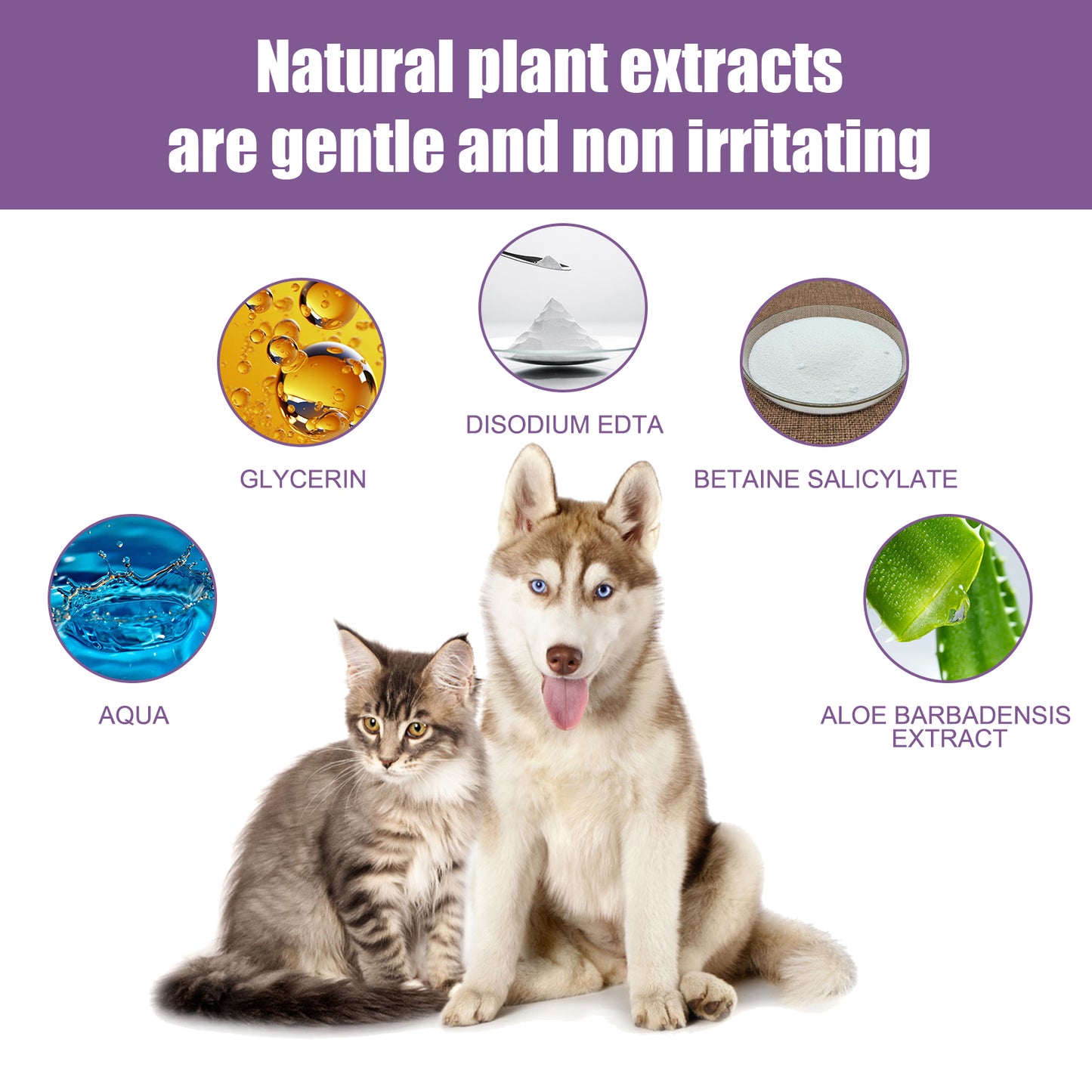 Pet Ear Rinse Cleaner 118ml with Cotton Swabs, Gentle Antimicrobial Ear Wash for Dogs Cats