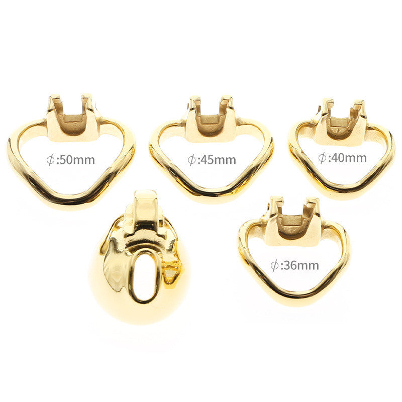 Stainless Steel Locking Toy for Adults - Multiple Sizes & Styles