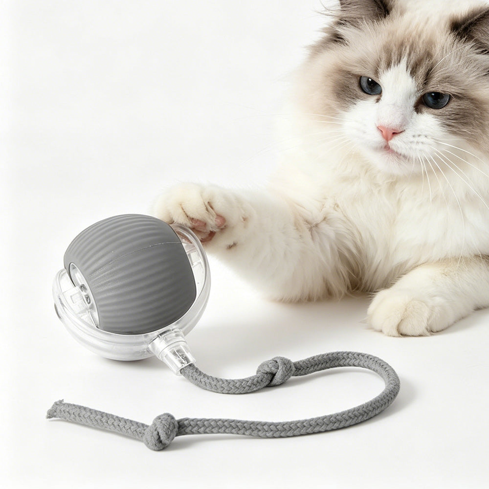 Interactive Electric Pet Ball Toy for Cats and Dogs - Indoor & Outdoor Play