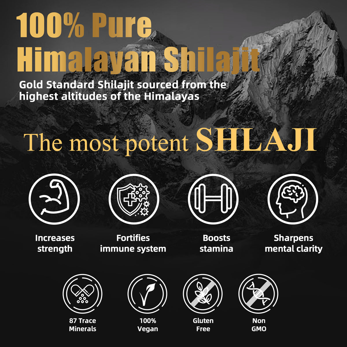Natural Himalayan Shilajit Resin Supplement for Energy & Immunity - 30g