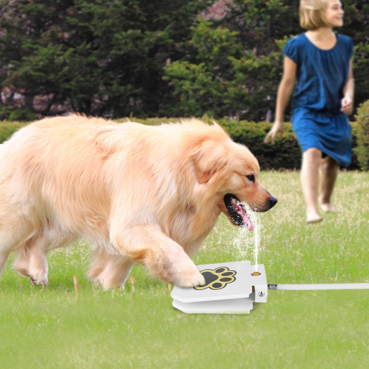 Outdoor Dog Water Fountain with Paw Pedal - Self-Serve Pet Water Dispenser