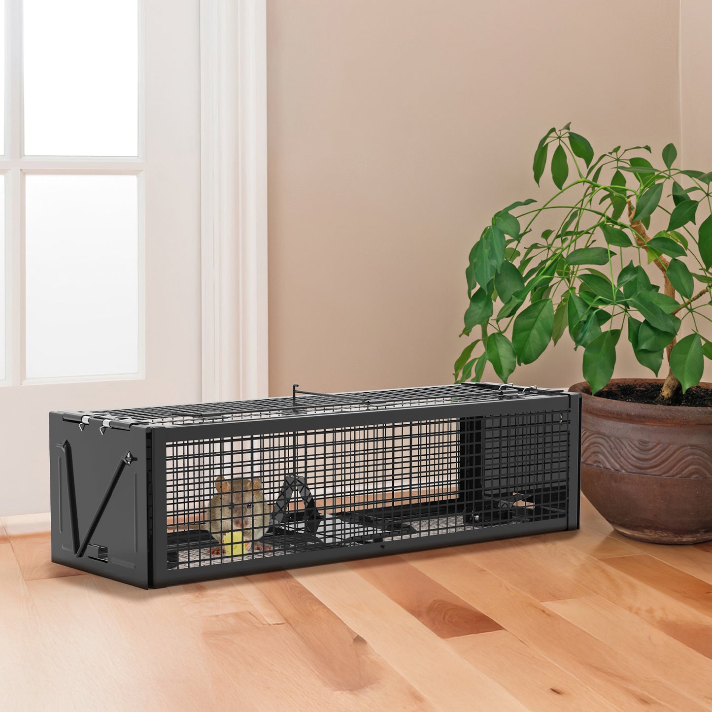 Humane Live Rat Trap - 2-Door Heavy-Duty Galvanized Iron Cage