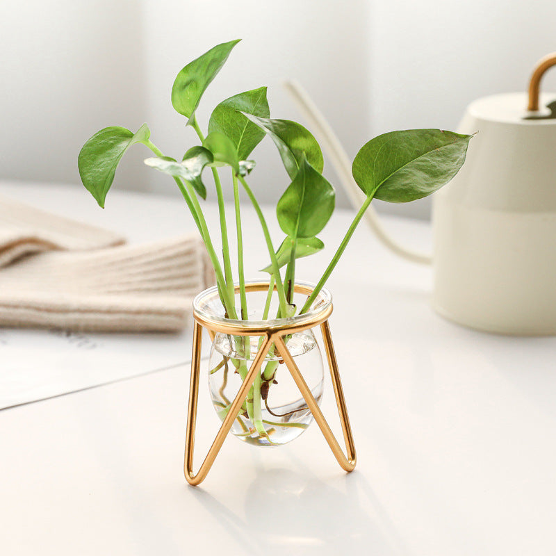 Decorative Hydroponic Vase with Metal Test Tube for Living Room & Dining Table - Black & Gold