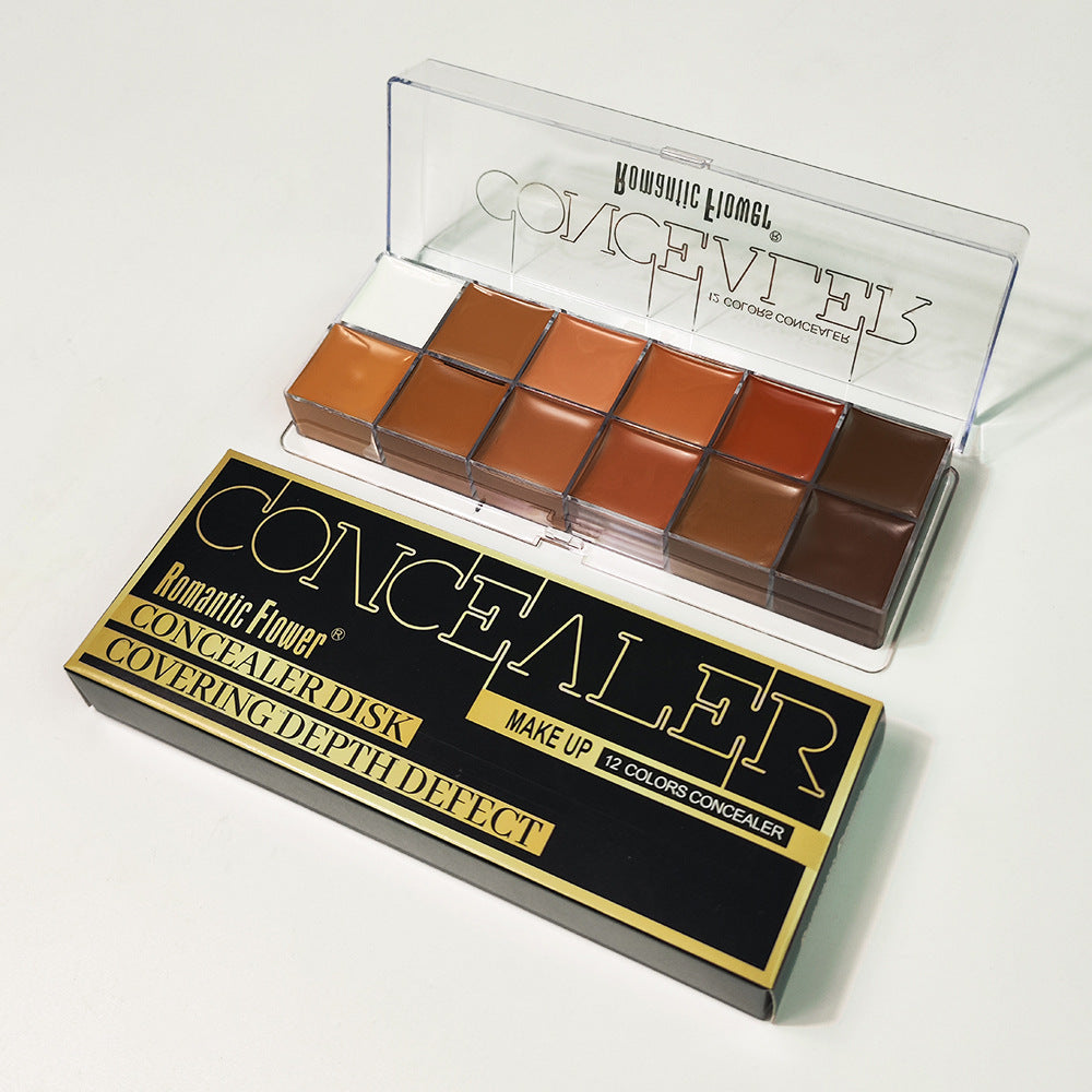 12-Color Waterproof Full Coverage Concealer for Dark Skin