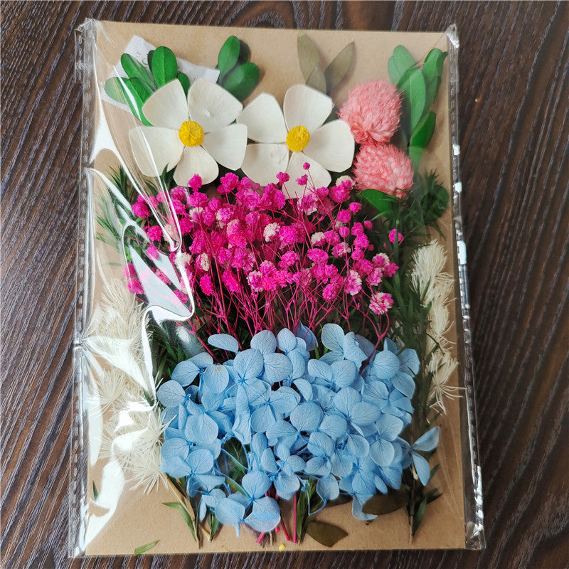 Dried Flower Material Pack for Candle & Photo Frame Decoration - Multiple Styles
