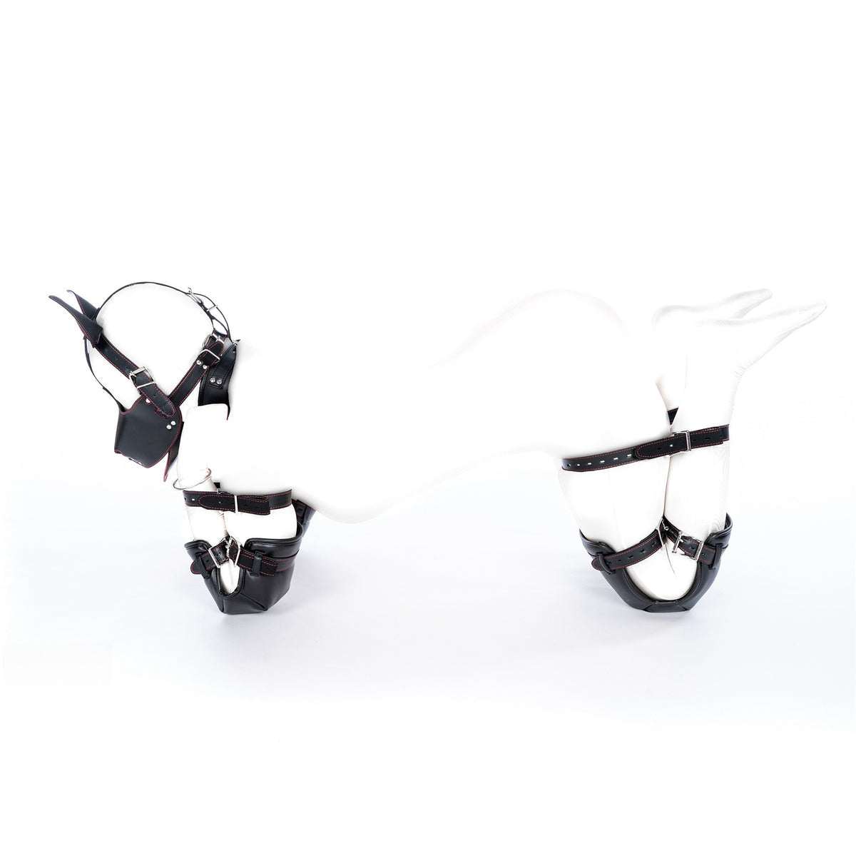 Dog Training Bondage Costume for Behavior Control Self-Binding Varieties