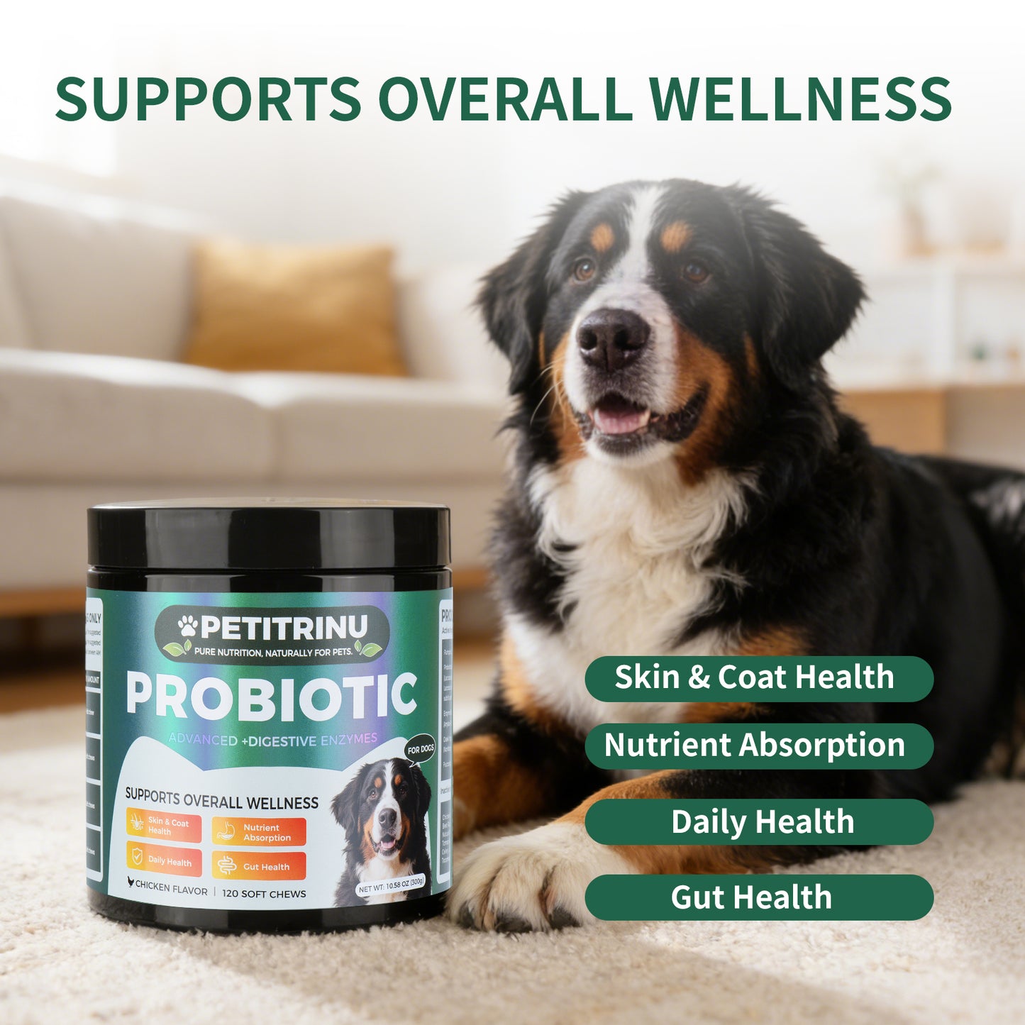Probiotics for Dogs - Pet Digestive Supplements, 60 Capsules
