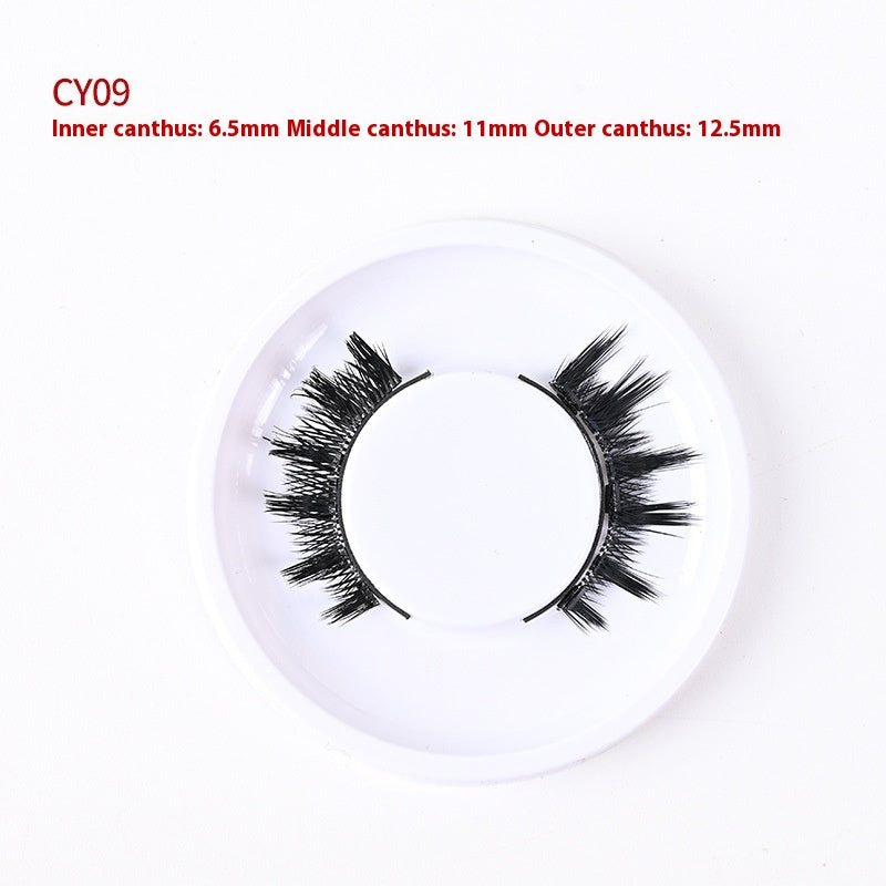 Magnetic Glue-Free False Eyelashes - Natural Look, Long-Lasting, Collection Use