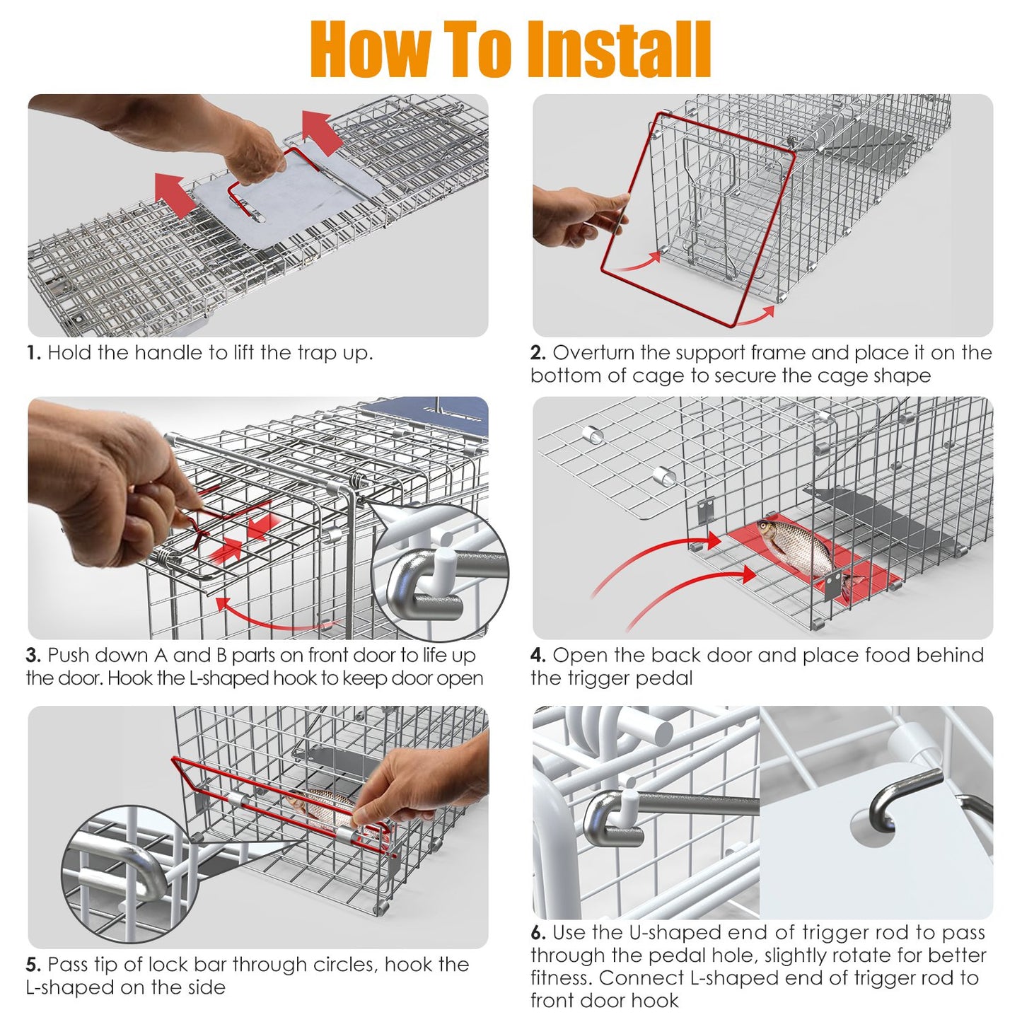 Humane Live Animal Trap Cage - Collapsible Wire for Small Animals