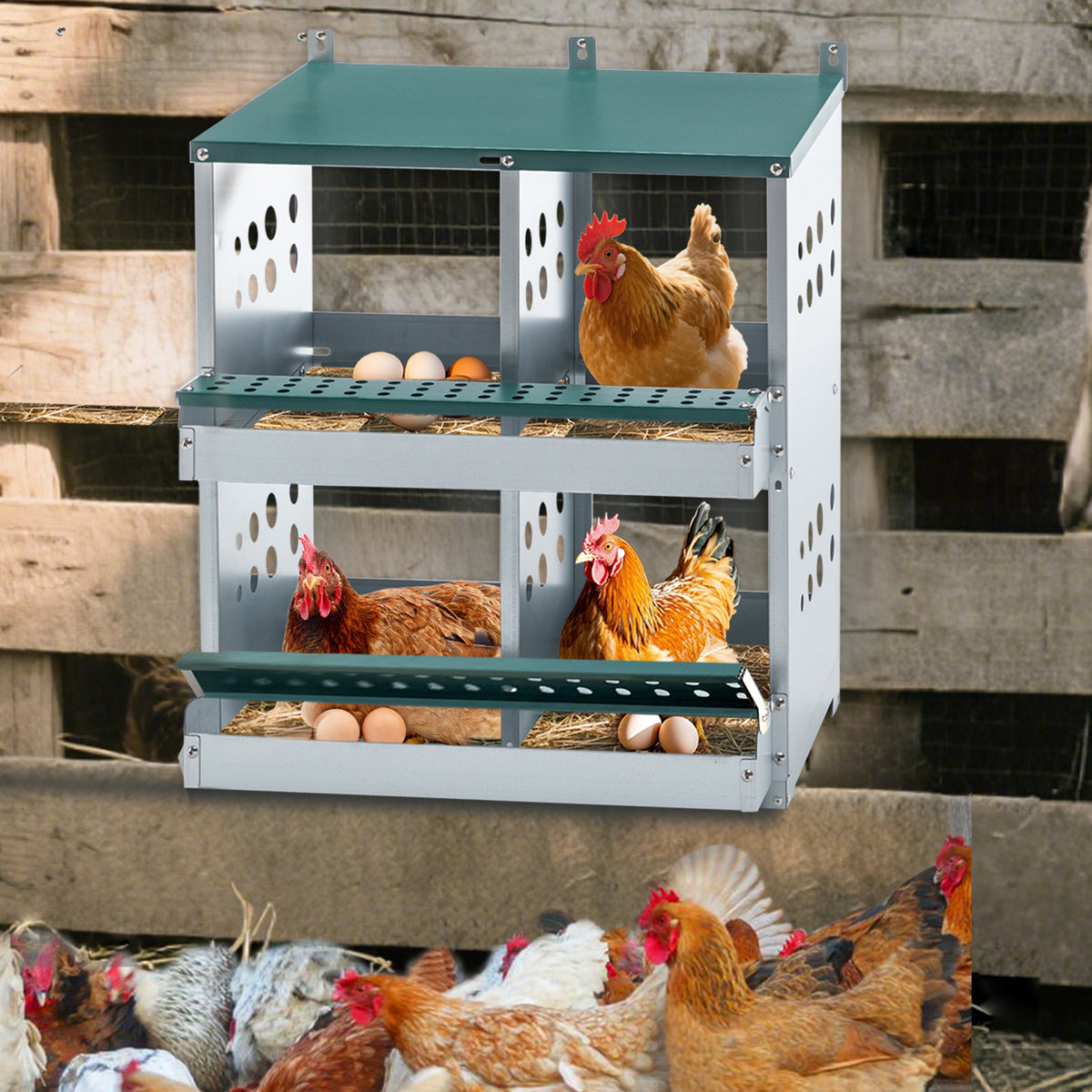 4-Compartment Galvanized Steel Chicken Nesting Box Wall Mount Egg Laying Coop with Green Finish