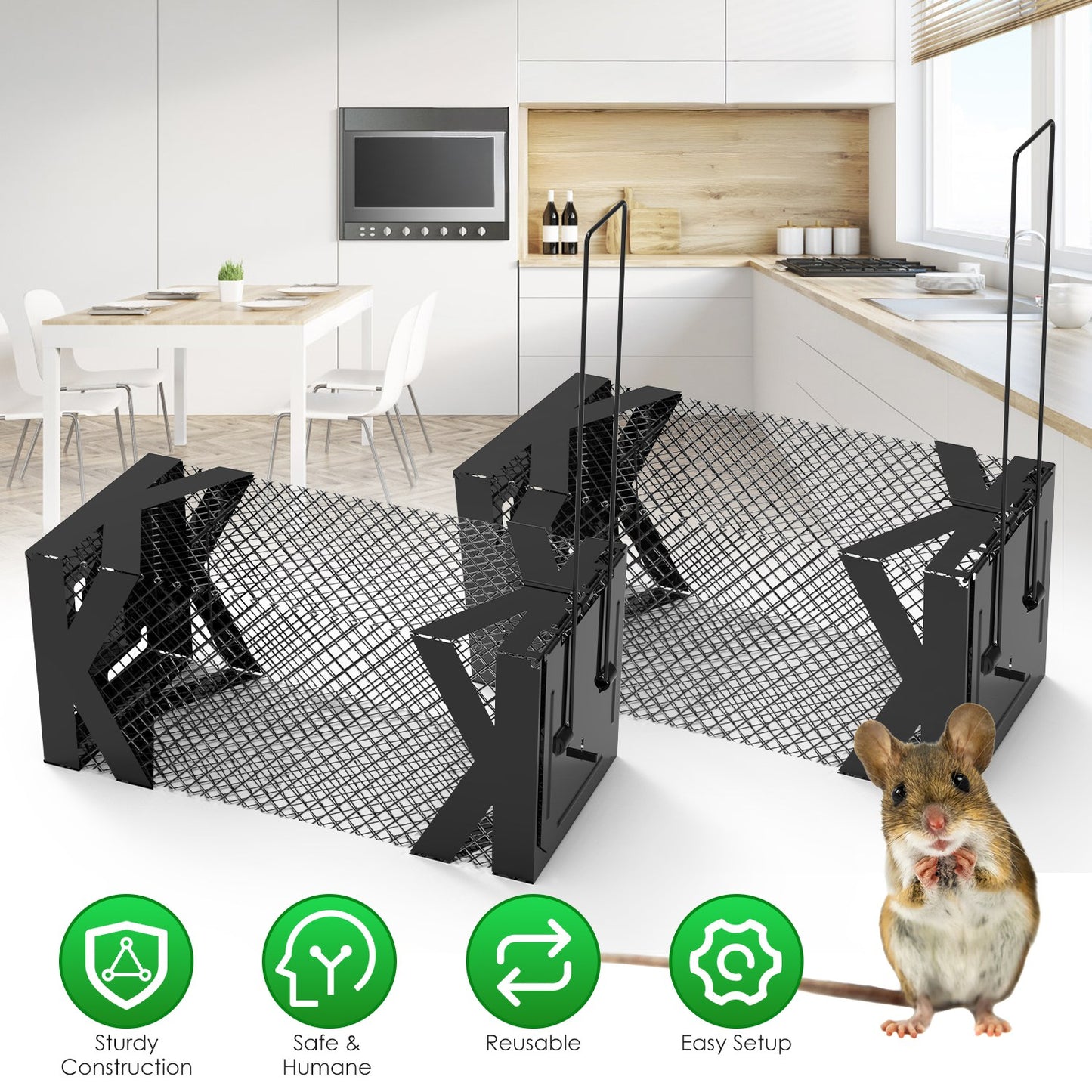 Humane Live Mouse Trap Cage - 2 Pcs Reusable Rodent Traps
