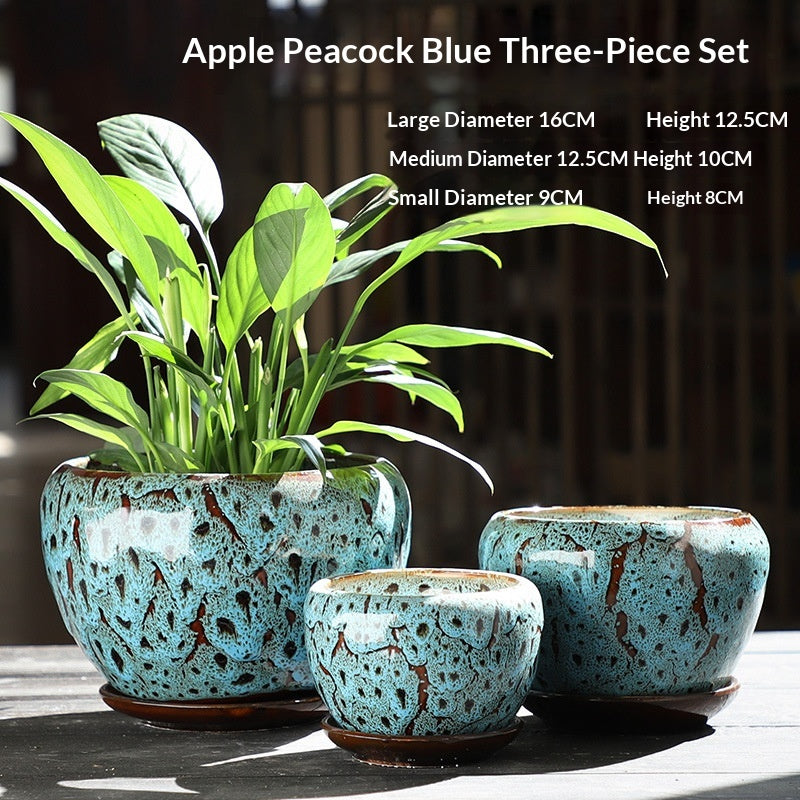 Minimalist Succulent Pot Set - Breathable, Durable Terracotta Planters with Trays