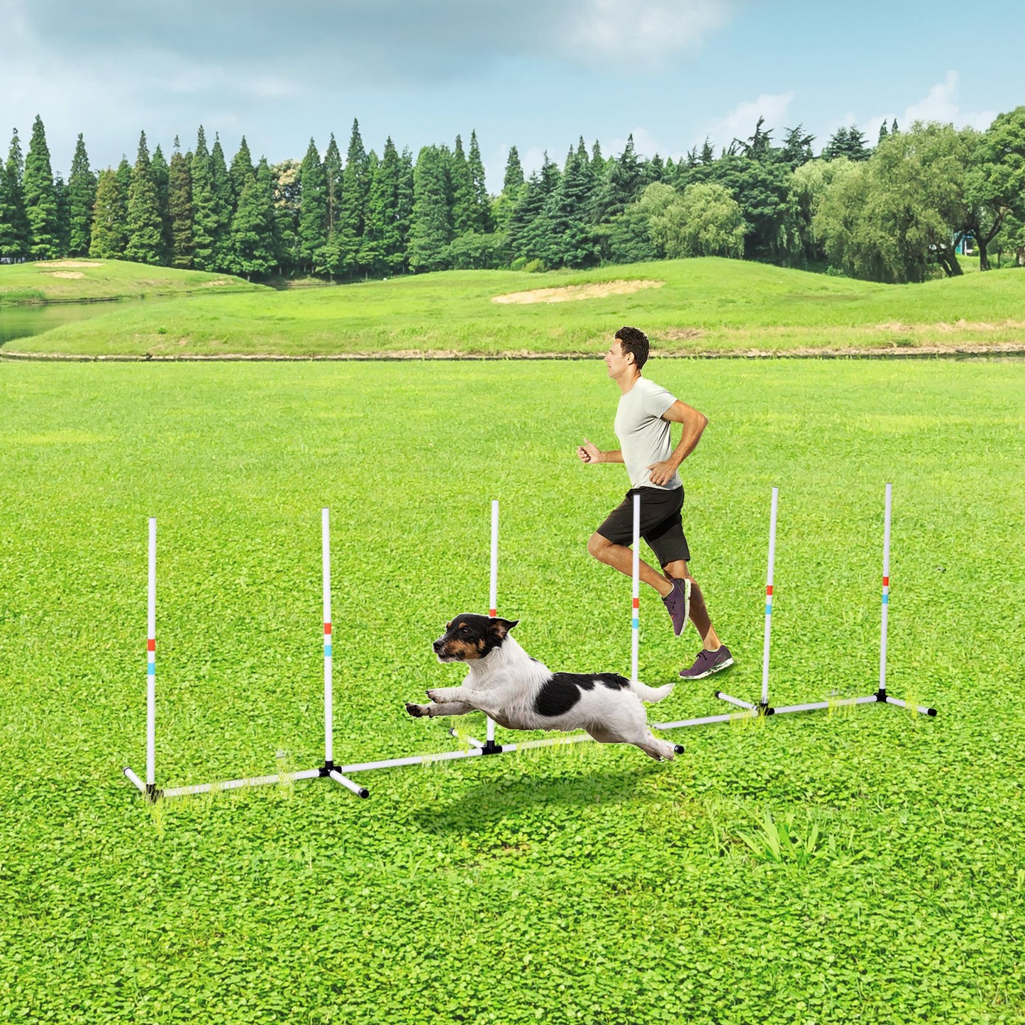 Dog Agility Poles Set - Outdoor Weave Poles for Training & Play, Includes Storage Bag