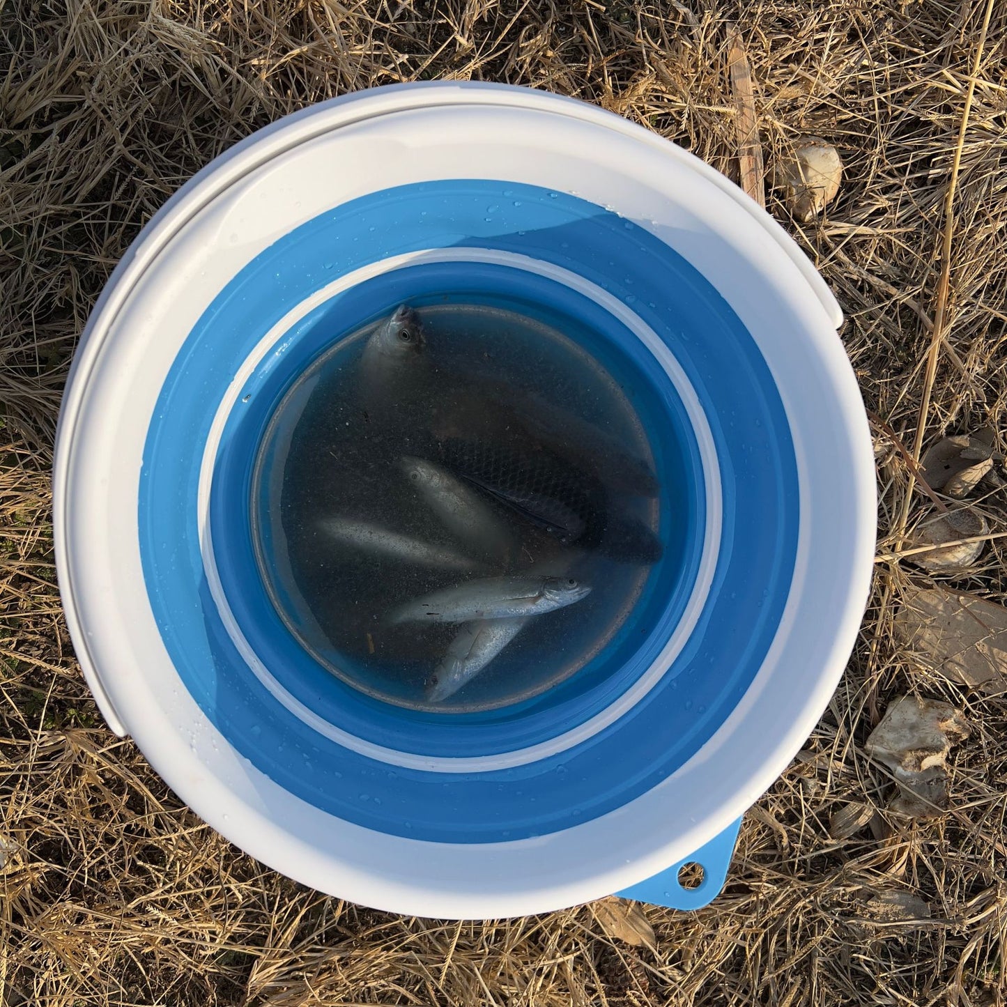 10L Plastic Folding Bucket for Household, Garden & Fishing Use