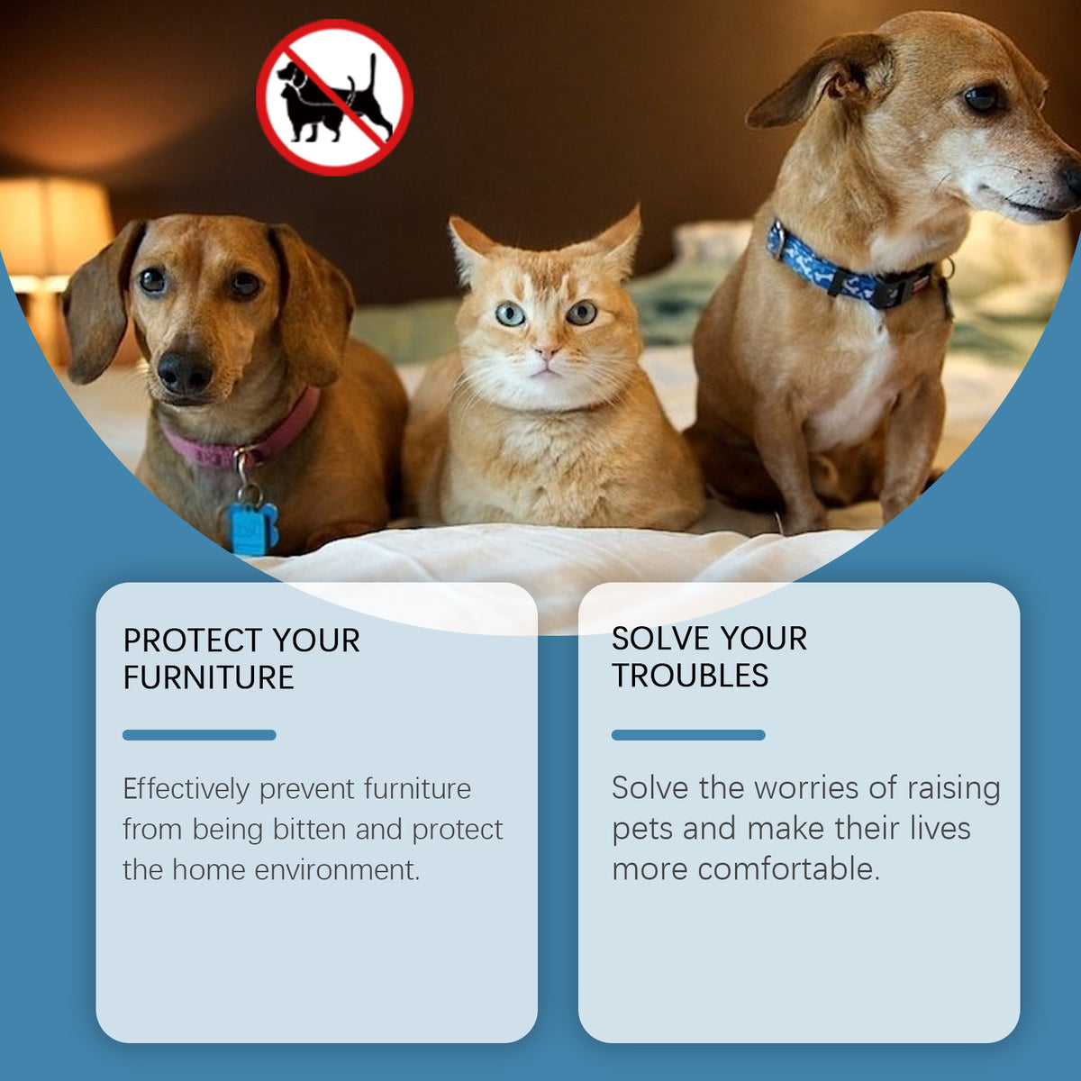 Pet Deterrent Paste for Furniture Protection - 120g Natural Anti-Chew & Scratch Repellent